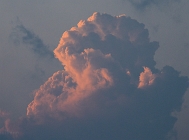 20110819_61