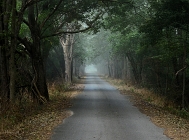 20110820_13