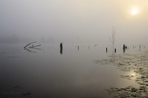 20110820_29