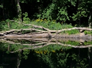 20110823_63