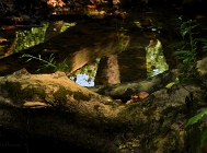 20110824_203