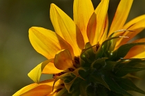 20110825_70