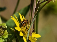 20110825_90
