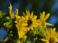 20110826_117
