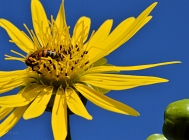 20110826_146