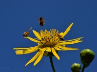 20110826_167