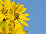 20110827_63