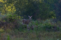 20110827_73