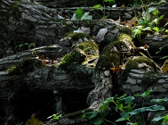 20110828_107