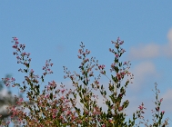 20110828_327