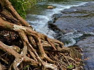 20110831_72
