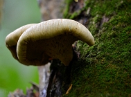 20110909_15