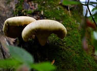 20110909_17