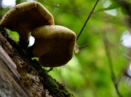 20110909_20