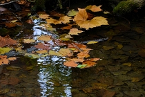 20110909_34