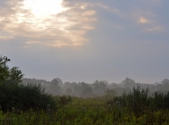 20110910_9