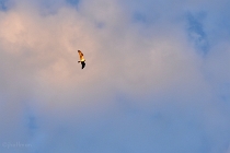 20110917_66