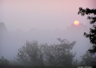 sunrise-82408-003-sunrise