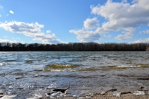 panoramic